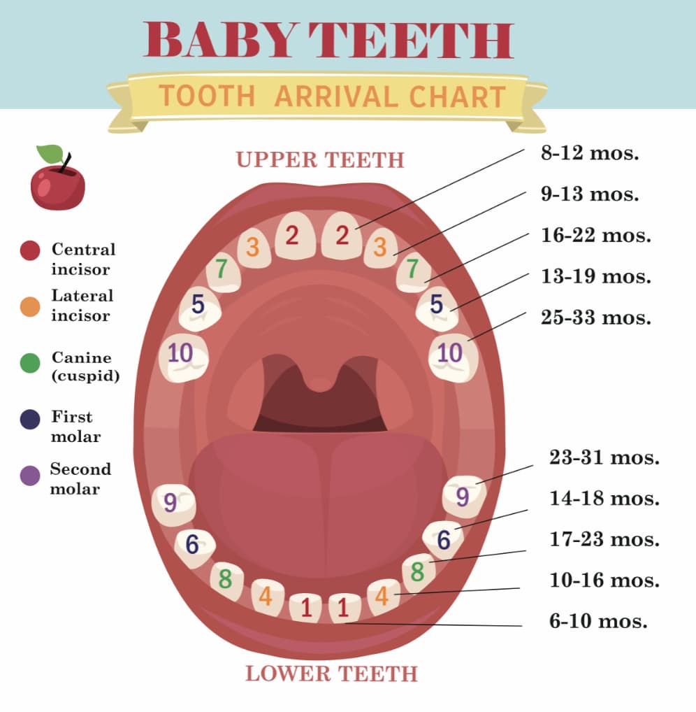 how-teething-affects-baby-s-sleep